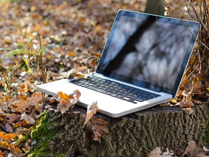 Un ordinateur portable ouvert, posé dehors sur des feuilles d'automne